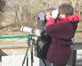 watchers